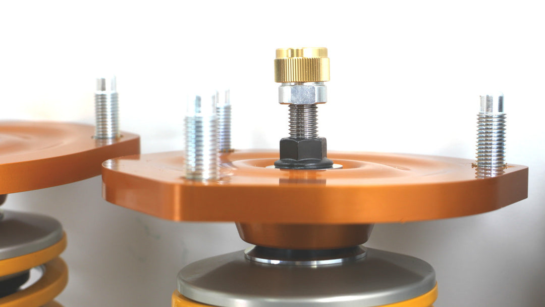 NCFPSpec02__21577_1080x.jpg?v=